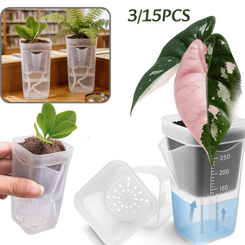 S6811970b2e3e47c78949a5ff752f05b2c